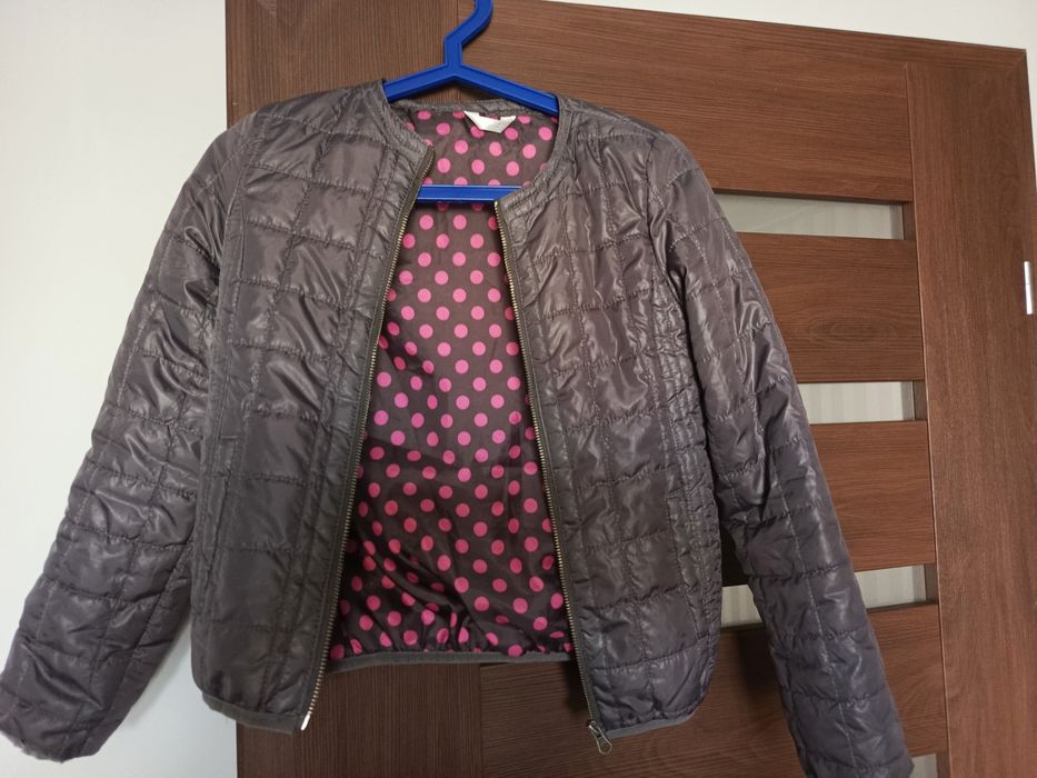 Wiosenna kurteczka roz 152