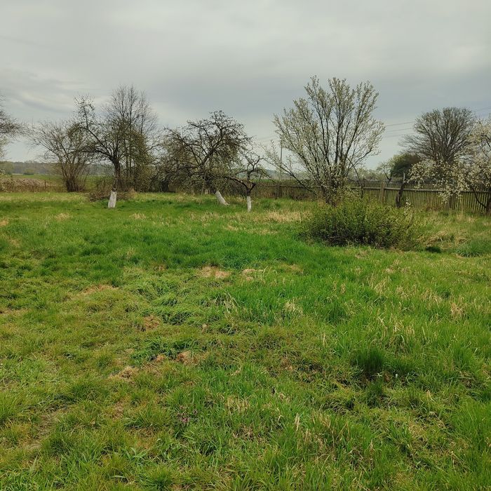 Dom w Stobrawskim Parku Krajobrazowym | działka ~1 ha | stodoła
