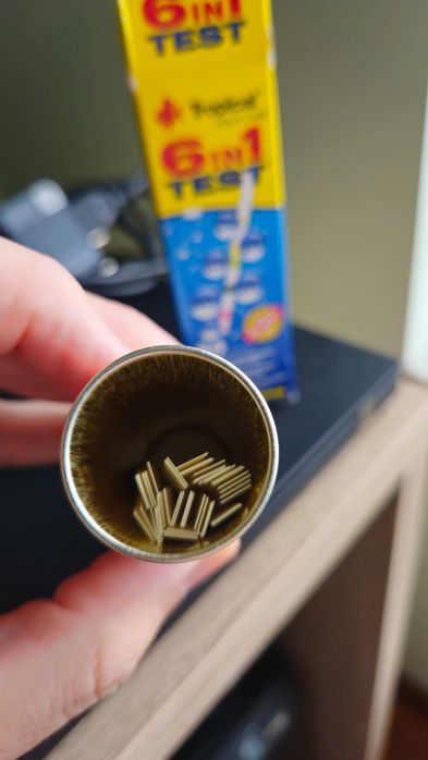 Aquário peixes de 35 CM comprimento.