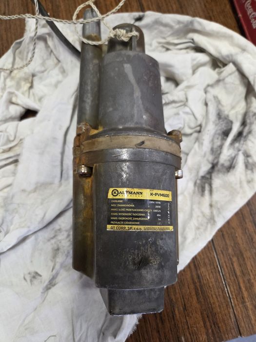 Pompa zanurzeniowa ogrodowa