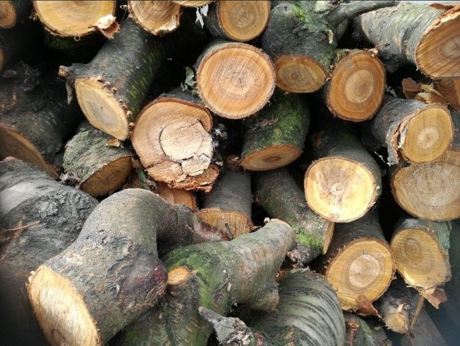 Drewno owocowe do wędzenia, zrębka zrębki trociny opał do kominka