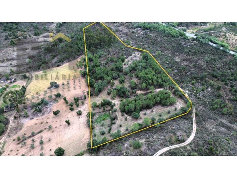 Quinta com 18.000m2 para venda em Freixial do Campo!