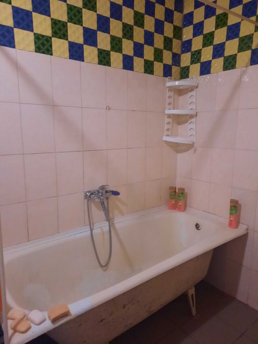 Сдам дом с удобствами в Диевке 2/Ясный/