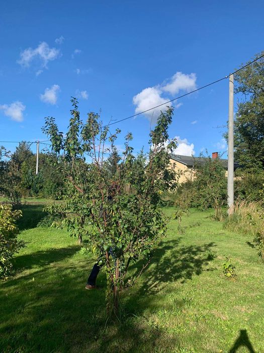 działka inwestycyjna 4230 m² w centrum Brojc