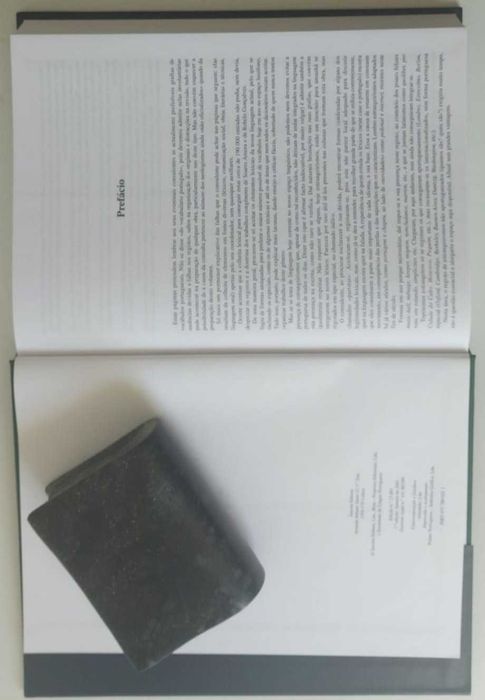 3 Dicionários: Etimológico / Língua Portuguesa e Grande Vocabulário da Língua Portuguesa - Prof. Dr. José Pedro Machado - 13 livros novos nas caixas