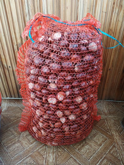 Продам каштани, 100 кг, Луцьк, 10 грн/1кг