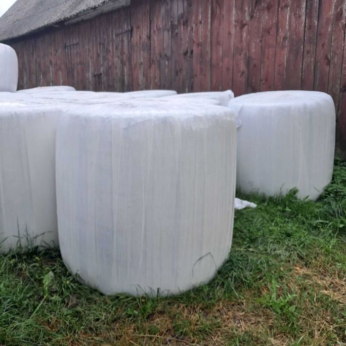 Bele sinokiszonki lucerna z trawą