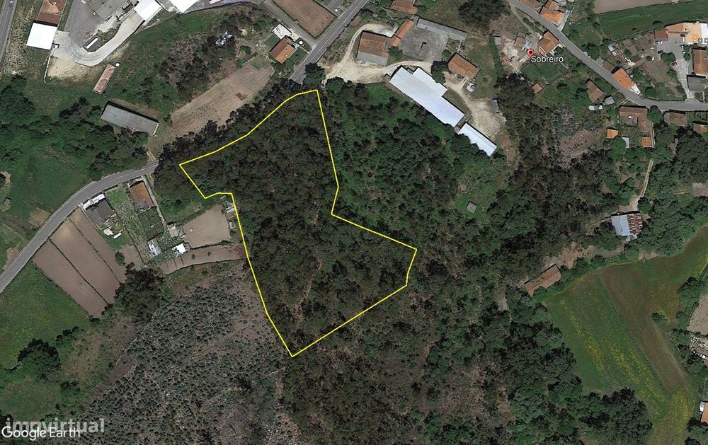 Terreno - Oliveira de Frades — Pinheiro, Viseu