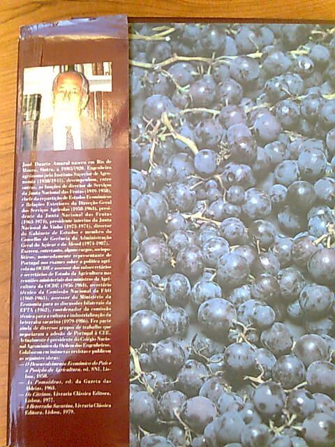 O grande livro do vinho de J. Duarte Amaral