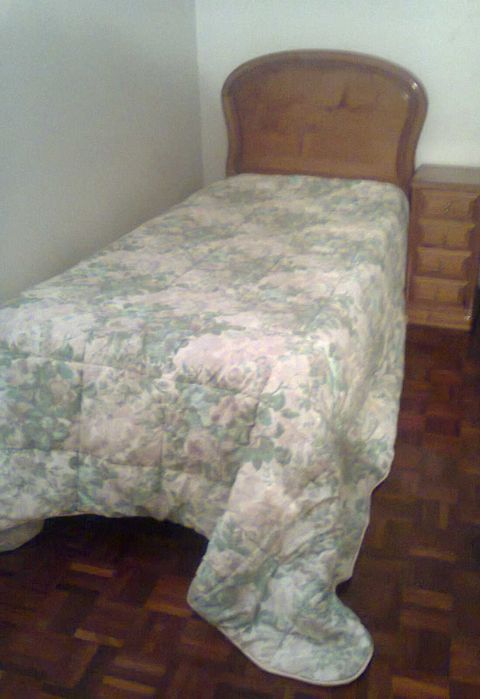 Quarto a menina  perto da faculdade de línguas, biologia, informática