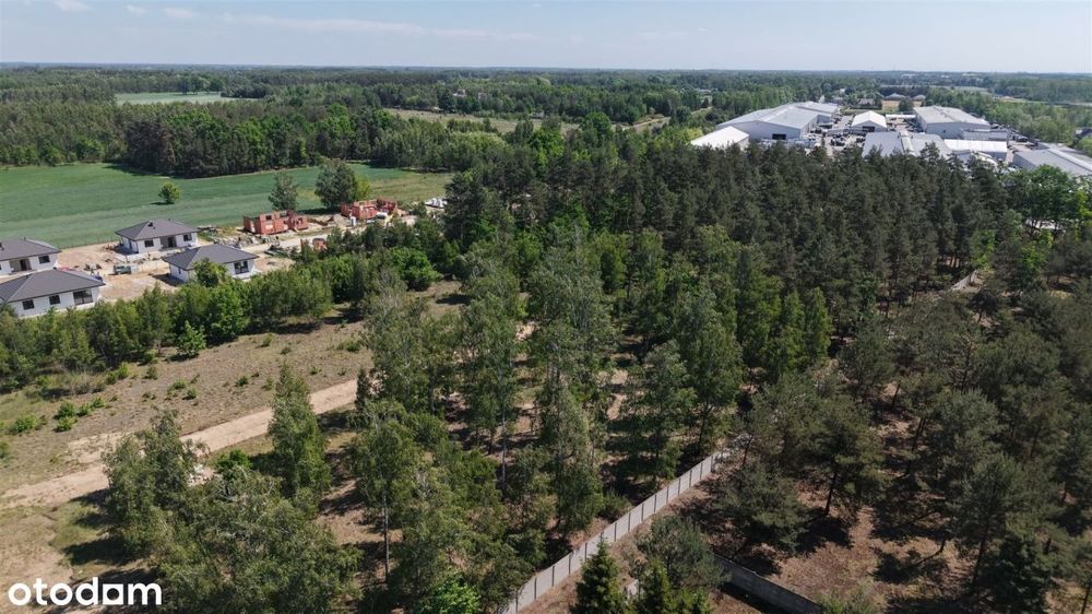 Działka leśna 3000 m² – Sochaczew, Wypalenisko