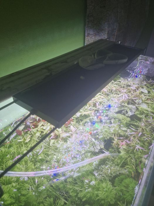 Akwarium 72l 6mm