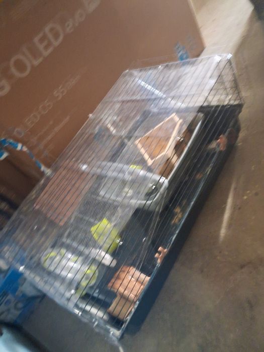 gaiola porco india completa + gaiola hamster