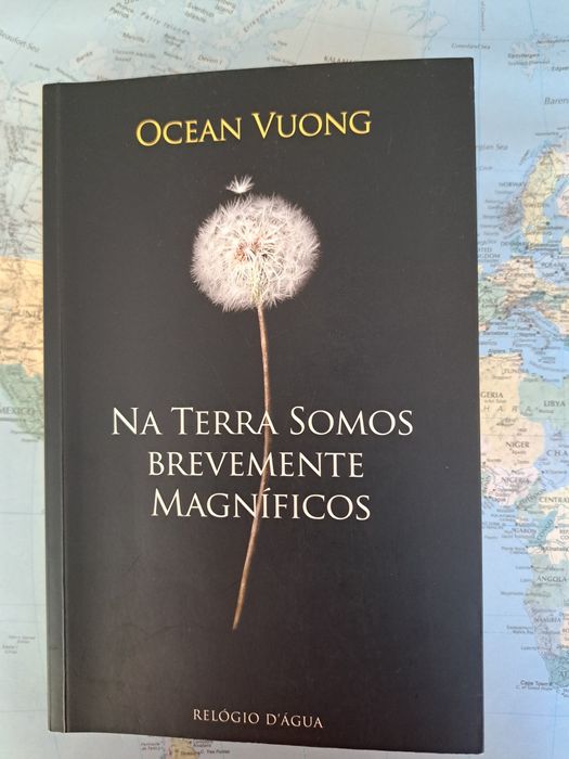 Na terra somos brevemente magníficos