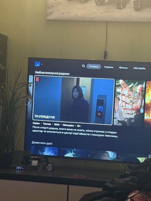 Кенгурумі та тапці