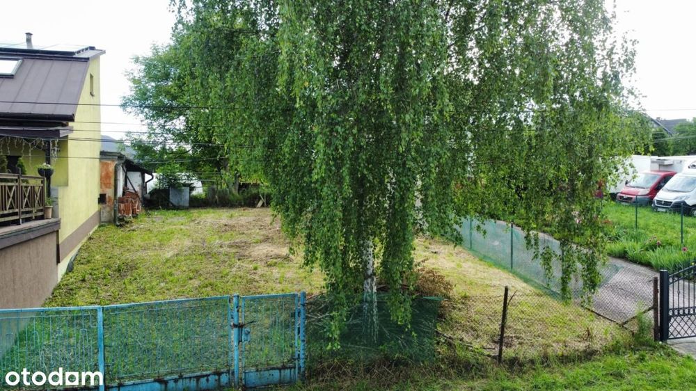 Dom, Modlnica