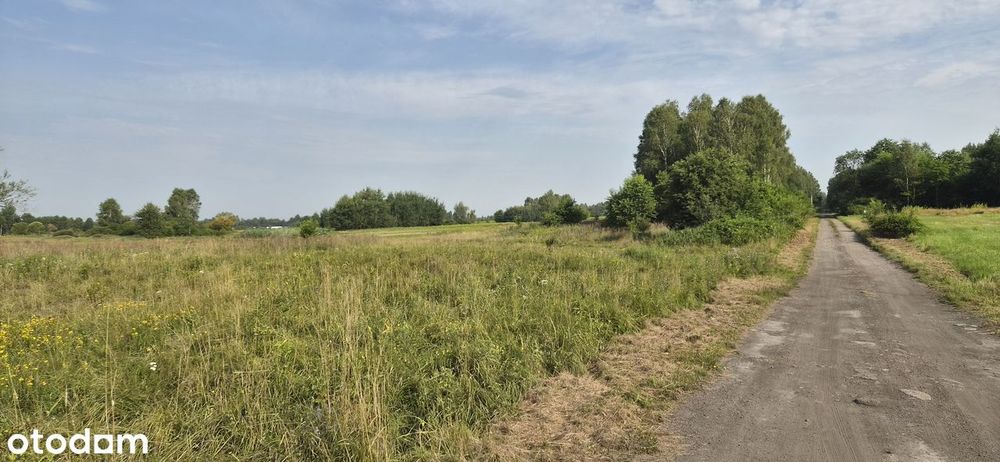 Działka Budowlana 1000m²