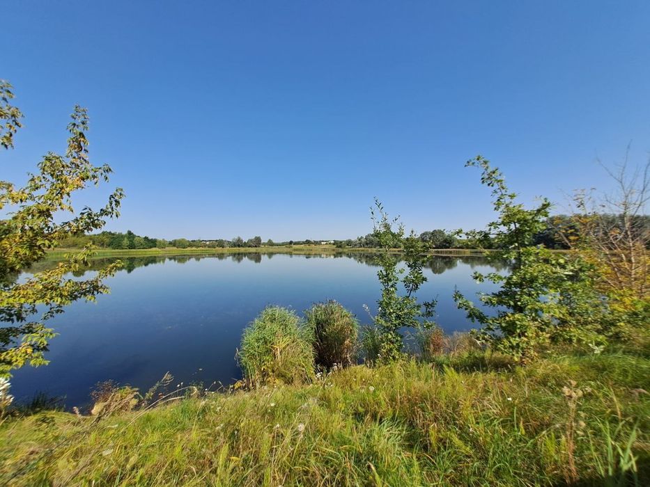 Земельна ділянка 42сот. під будівництво поруч р.Здвиж , с.Завалівка