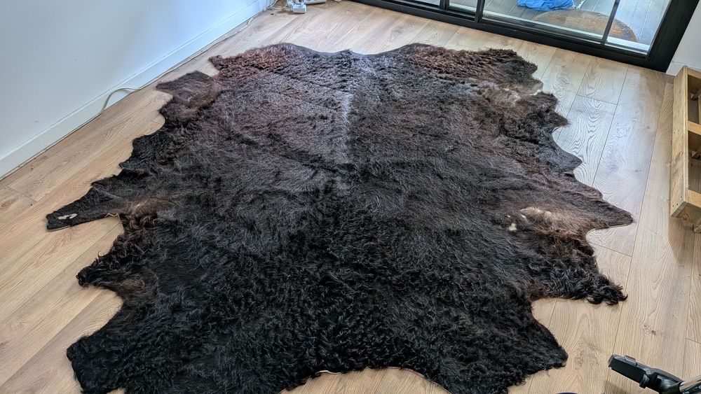 Pele de Vaca Galloway – curtida na Alemanha