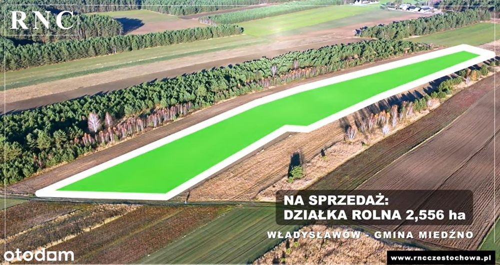 60m szerokości | 4,50 zł za m2 | Działka dla rolnika | Powiat kłobucki