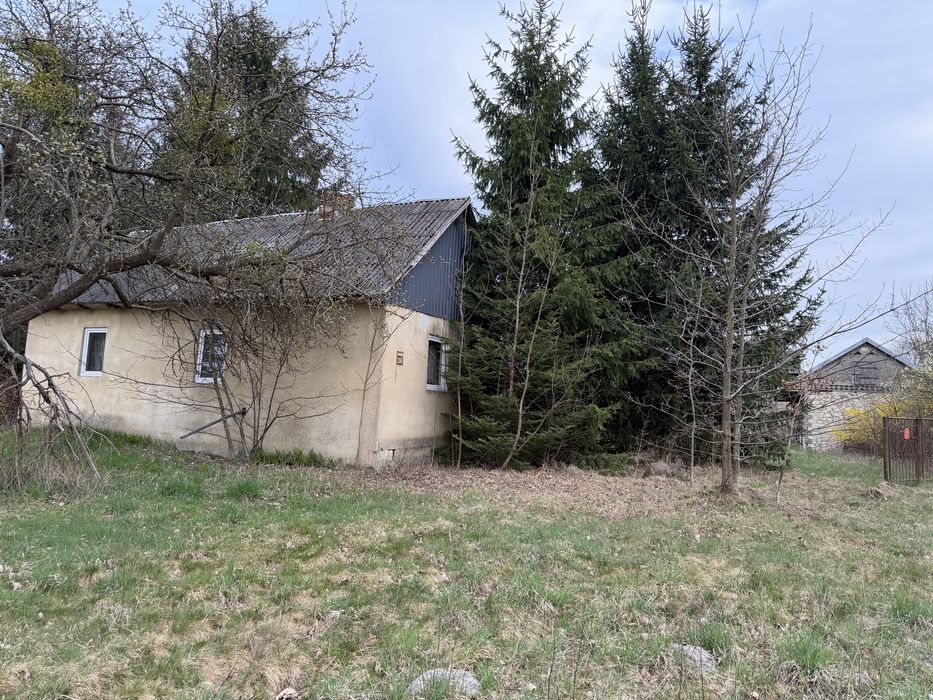 Sprzedam działke 3,9 ha - Widok 2