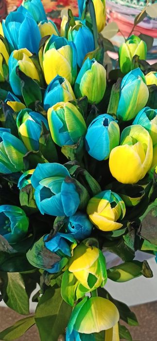 Капельницы на дому. Уколы.  Клизма.Катетер Фоллея .Венфлон.