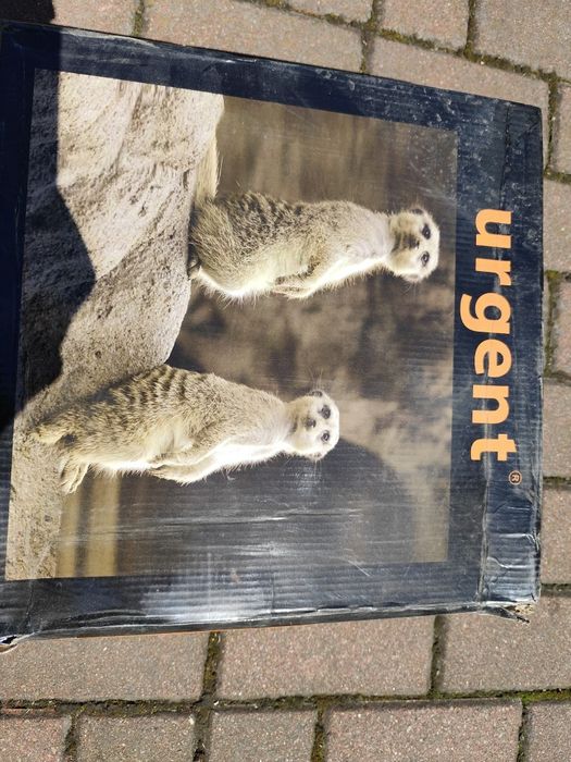 Nowe buty robocze męskie ocieplane rozm. 46