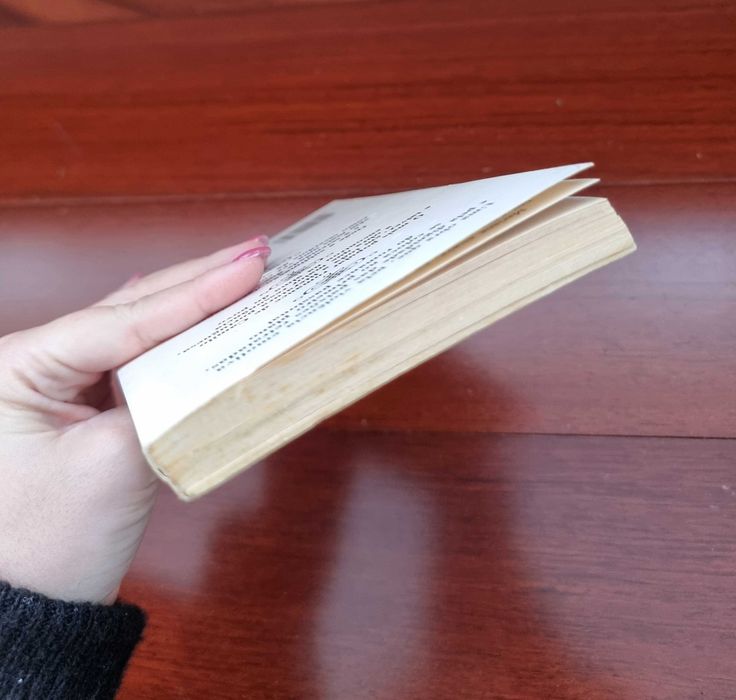 Livro "Amor de Perdição" de Camilo Castelo Branco