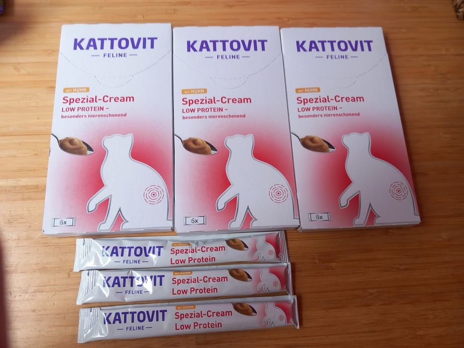 Kot kotek pasty na nerki !