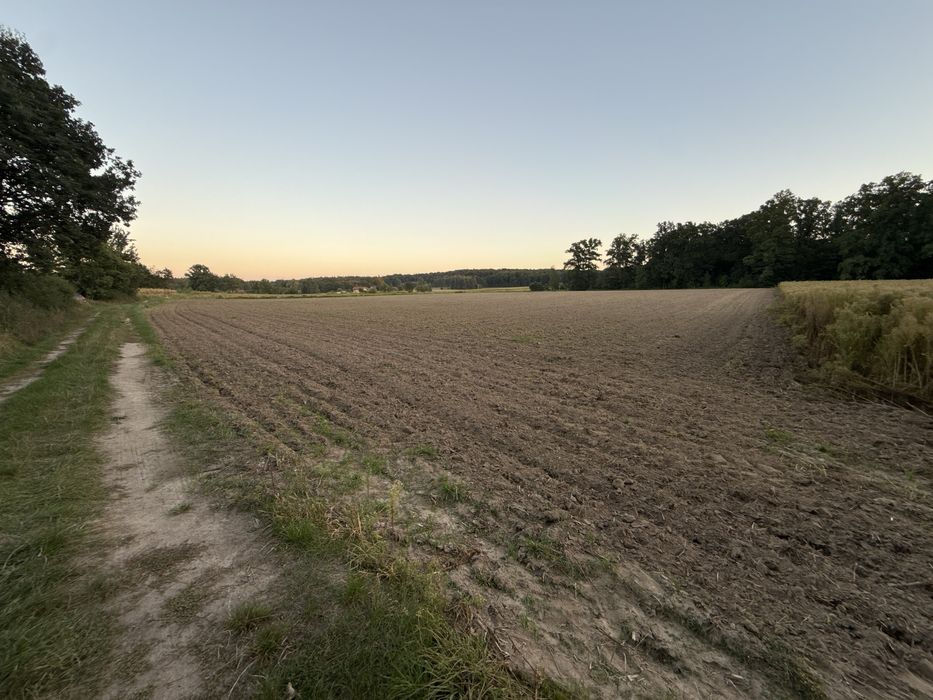 Działki pod dom| Wilkowa Mała | 1000–1267 m² | CISZA I NATURA