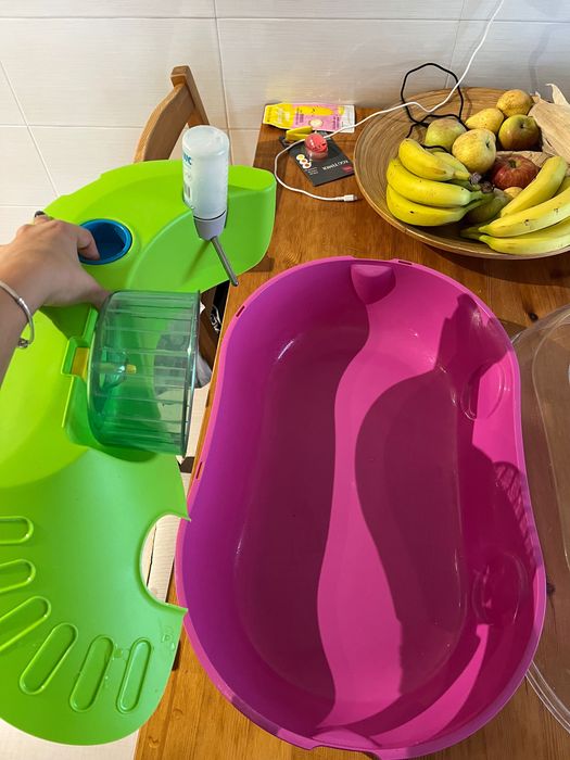 Gaiola para hamster com substrato, comida e acessórios