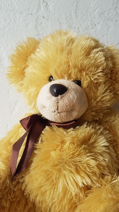 Uśmiechnięty misio