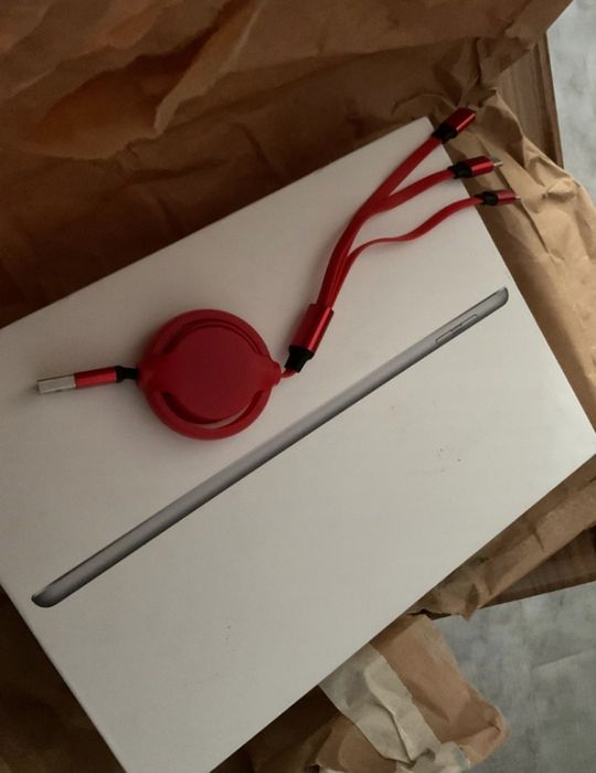 iPad Wi-Fi + Celular 5 Geração