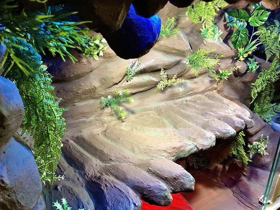 Terrarium z płyty drewnianej