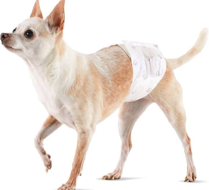 Amazon Basic rozmiar  XS 50 sztuk pieluchy dla psa