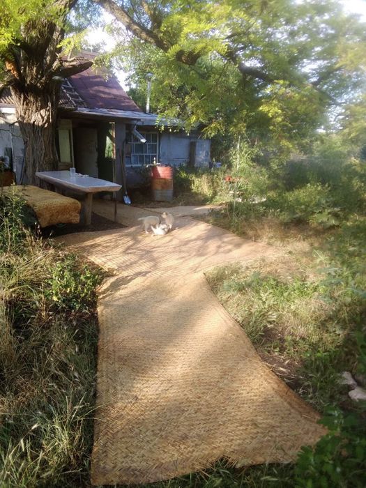 Пригород. Старый домик 50сот. У дороги.