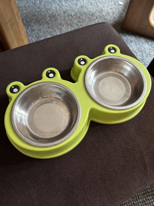 Zielone miski dla kotka