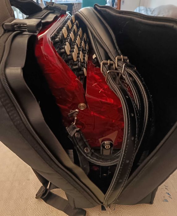 Acordeão para iniciação