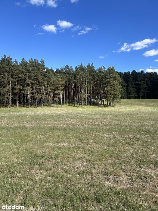Sprzedam działki Zalesie gmina Cekcyn powiat tucholski