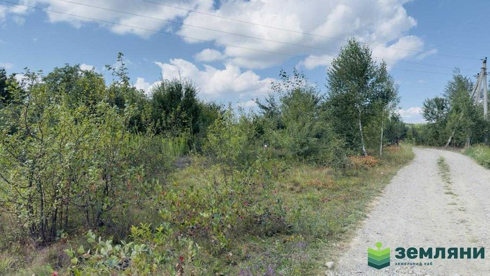 Продається ділянка 12 сот у Братківцях (12)