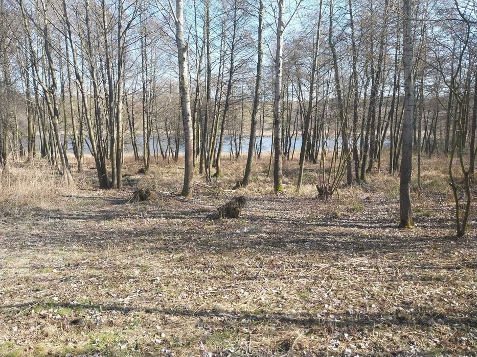 Działka budowlano-rekreacyjna 2900m2 nad jeziorem z linią brzegową