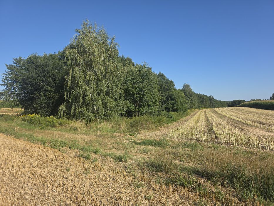 Nieruchomość rolna 1,88Ha