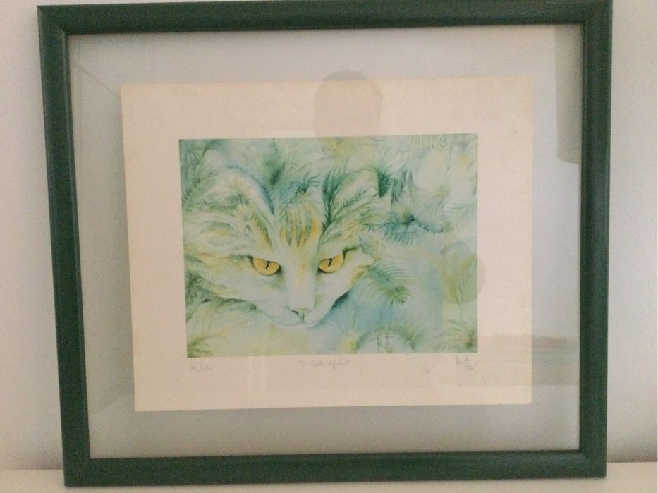 Serigrafia “O gato vegetal”