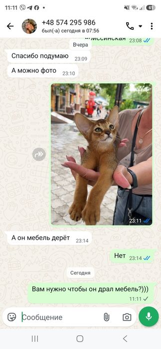 Обиссинский мальчик)
