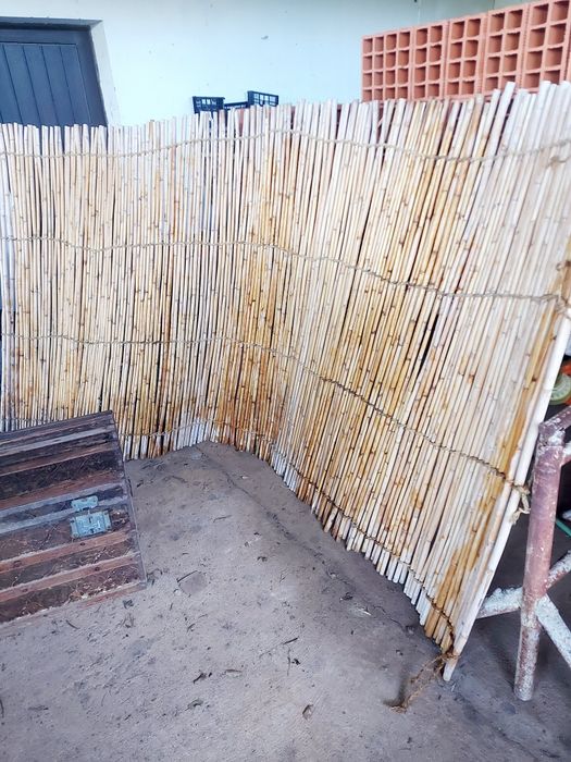 Esteira canas antiga