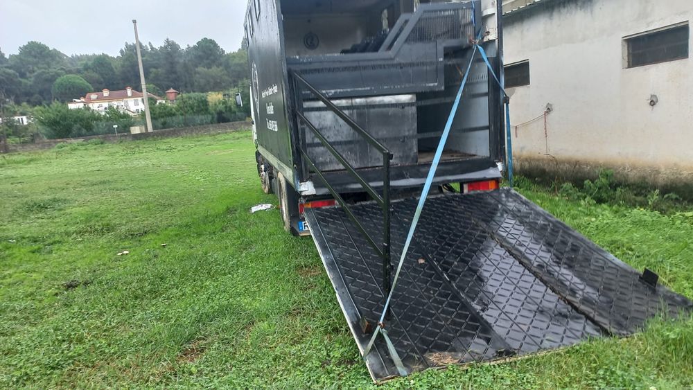 MAN 19-372 transporte cavalos