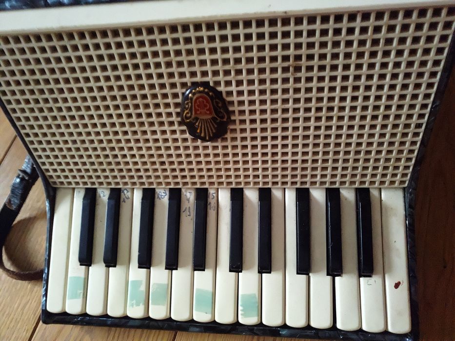 Аккордеон kingende taler