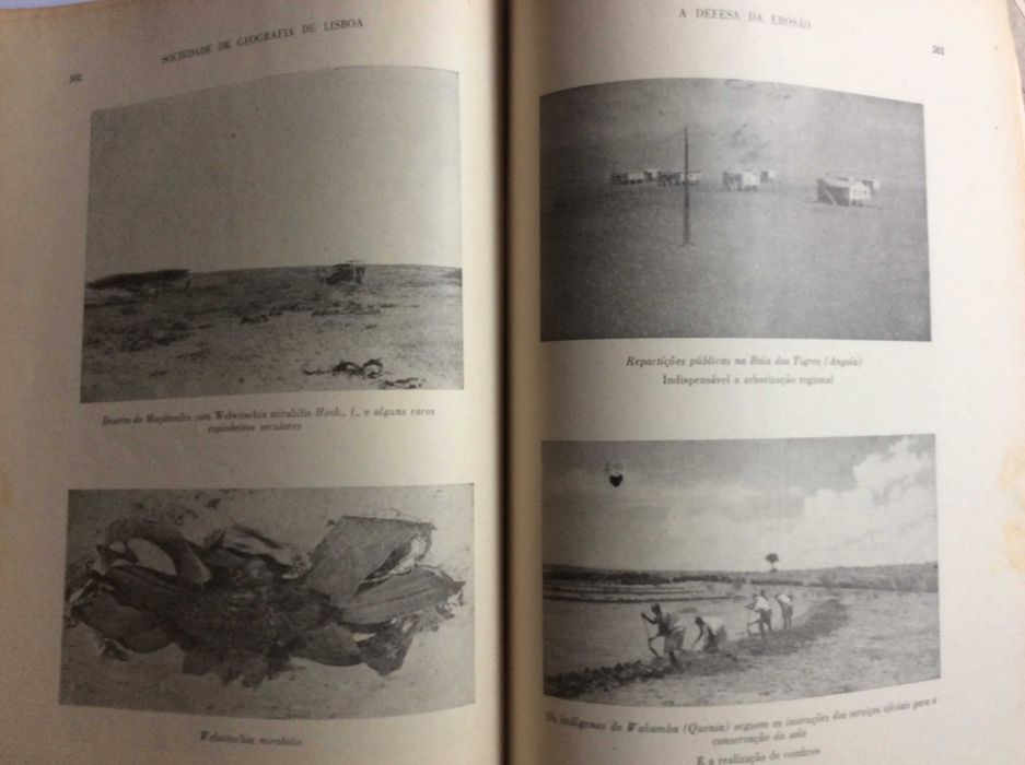 Boletim da Sociedade de Geografia de Lisboa. -  1950. Ver sumário