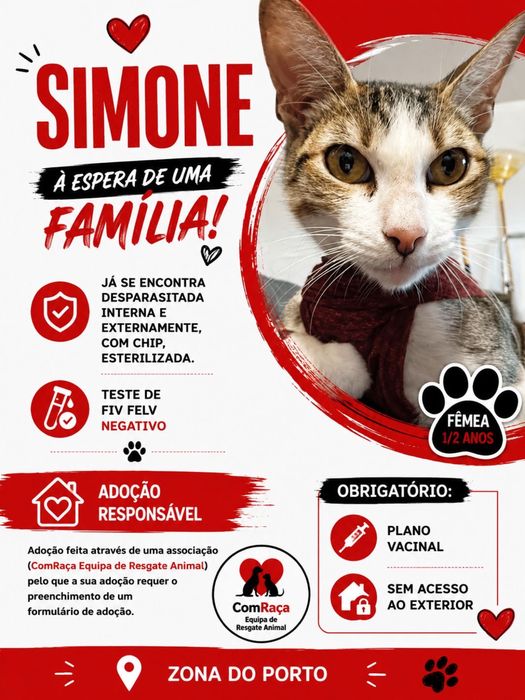 Gatinha para adoção responsável