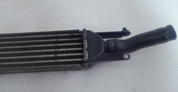 Radiador do intercooler FIAT Linea (323_)
